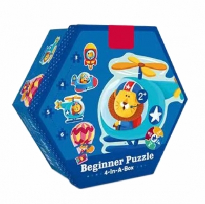Beginner Puzzle 4-in-A-box